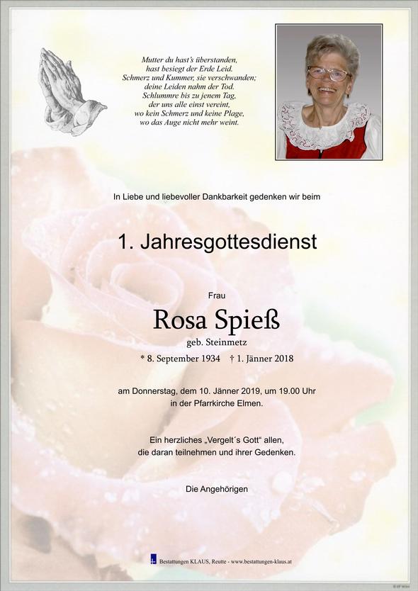 Rosa Spieß, am 10.01.2019 um 19:00 Uhr Elmen